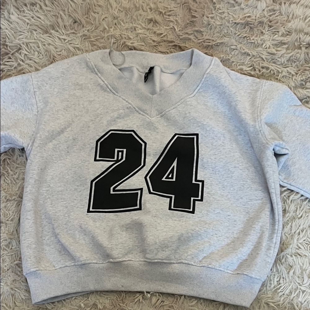 Windsor Light Gray Crewneck Sweatshirt